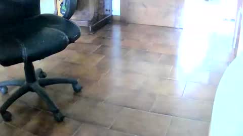 Snapshot of tobikoyuzu chatting on December 2025 01:17:04 PM Tobiko online show from December 2025 01:17:04 PM