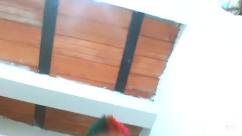 Blue online show from March 2025 09:26:02 PM