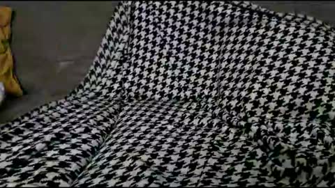 Bima online show from September 2025 08:45:01 PM