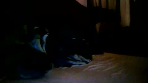 tommy mackz online show from March 2026 05:08:02 AM