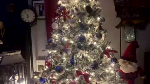 tommybones4l93 online show from December 2025 02:06:01 AM