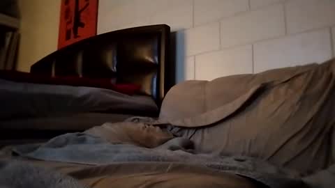 tomthebomb347 online show from September 2025 10:20:02 PM