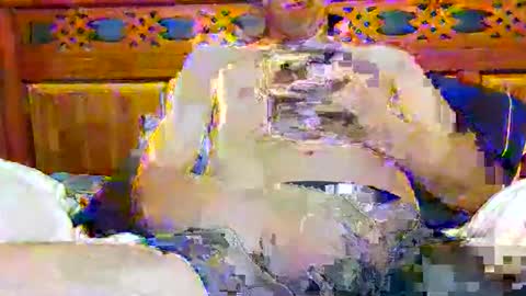 Snapshot of tomygolden chatting on November 2025 03:20:01 AM tomygolden online show from November 2025 03:20:01 AM