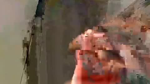 Tony 1019 online show from January 2025 10:21:02 AM