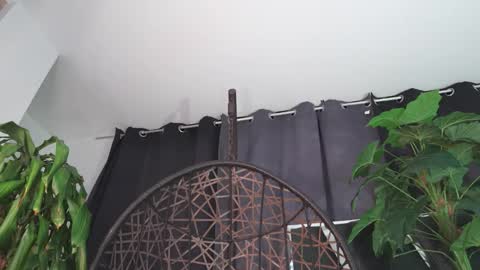 tony online show from February 2026 12:16:02 AM