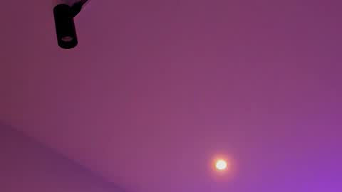 Snapshot of tony_petrov chatting on January 2026 03:20:02 AM tony_petrov online show from January 2026 03:20:02 AM