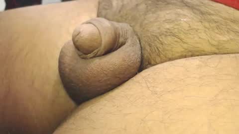 tonyisback2023 online show from February 2026 11:05:02 AM