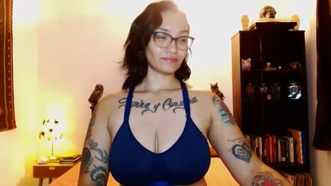 Snapshot of toothyy chatting on February 2025 12:51:01 AM toothyy online show from February 2025 12:51:01 AM