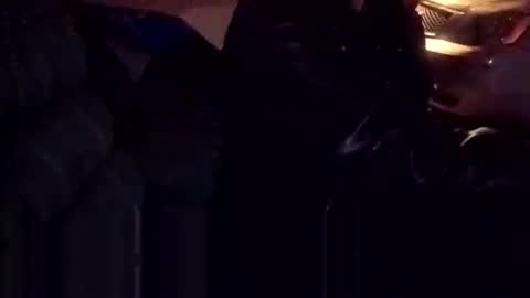 SagMeOreduceMe online show from October 2025 03:43:01 AM