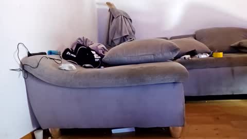 Snapshot of toriasexy chatting on November 2025 12:37:02 PM toriasexy online show from November 2025 12:37:02 PM