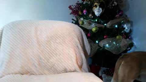 Enzo Moretti online show from November 2025 01:52:02 AM