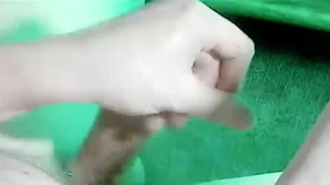 Snapshot of tornne chatting on January 2026 02:30:01 PM tornne online show from January 2026 02:30:01 PM