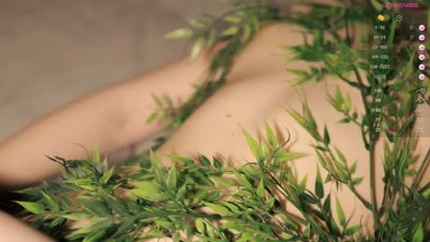 Toshi online show from December 2024 01:02:02 PM