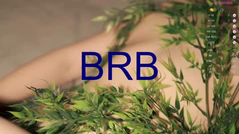 Toshi online show from January 2025 04:11:02 PM