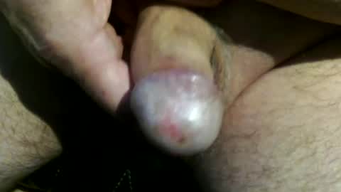 trailblazer1969 online show from July 2026 06:57:02 PM