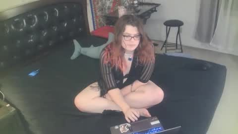 Snapshot of tranicpixiedreamgrl chatting on November 2025 02:00:02 AM tranicpixiedreamgrl online show from November 2025 02:00:02 AM