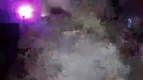 Snapshot of transgirl005 chatting on November 2025 10:03:01 AM transgirl005 online show from November 2025 10:03:01 AM