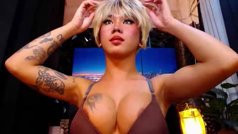 transpornidol online show from December 2025 06:03:02 PM