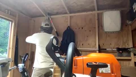 treeman817 online show from May 2026 10:49:02 PM