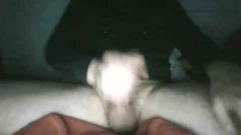 Snapshot of trekkertje666 chatting on January 2025 08:00:01 AM trekkertje666 online show from January 2025 08:00:01 AM