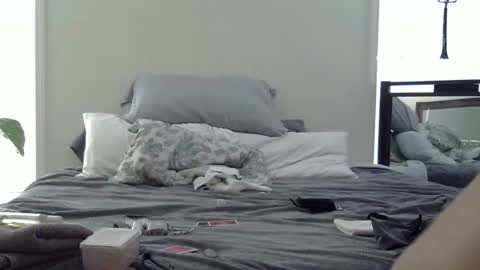 Snapshot of trickquestion chatting on February 2026 08:49:01 PM trickquestion online show from February 2026 08:49:01 PM