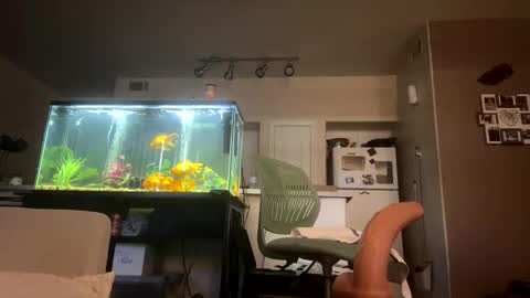 trickydick6 online show from March 2026 08:35:02 PM