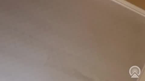 Snapshot of trinislim1868 chatting on November 2025 12:09:02 AM Antique-Shirt2516 online show from November 2025 12:09:02 AM