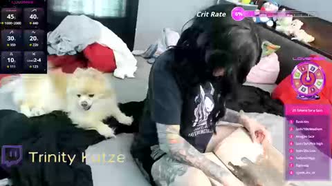 Snapshot of trinitykatze chatting on September 2025 08:02:01 PM Trin Kat pet online show from September 2025 08:02:01 PM