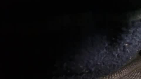 Snapshot of trobelle chatting on December 2024 02:49:01 PM trobelle online show from December 2024 02:49:01 PM