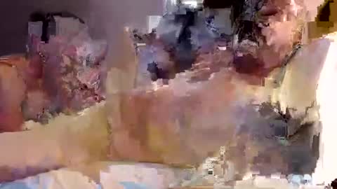 Snapshot of trojanswingers chatting on February 2025 05:29:01 PM trojanswingers online show from February 2025 05:29:01 PM