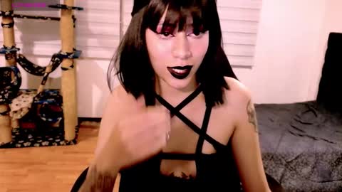 Snapshot of tryp666 chatting on December 2025 04:41:04 AM Cait online show from December 2025 04:41:04 AM