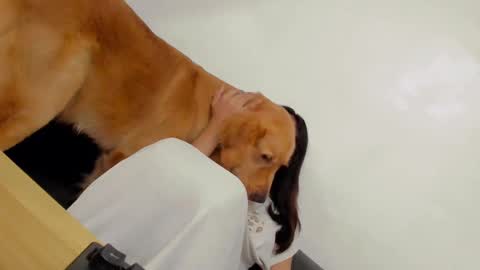 Snapshot of ts_danielahugecock_xxx chatting on December 2024 12:43:02 AM ts_danielahugecock_xxx online show from December 2024 12:43:02 AM