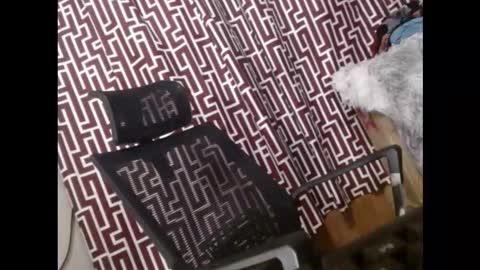 SARCY online show from March 2026 11:33:01 PM