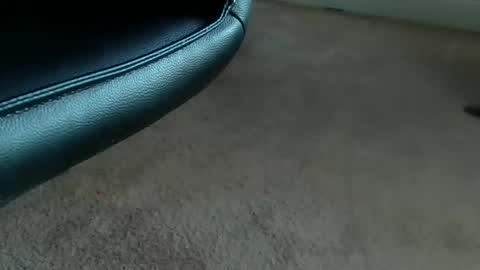 tthornburg online show from April 2026 02:22:02 AM