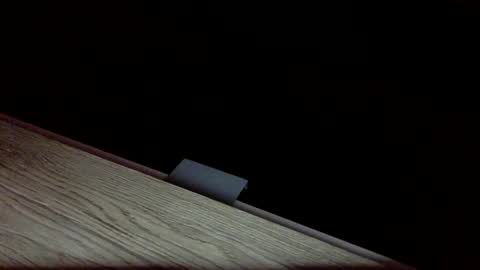 tvstefanie1 online show from December 2024 08:42:01 PM