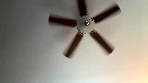 twerkandjerkk online show from April 2026 01:23:01 PM