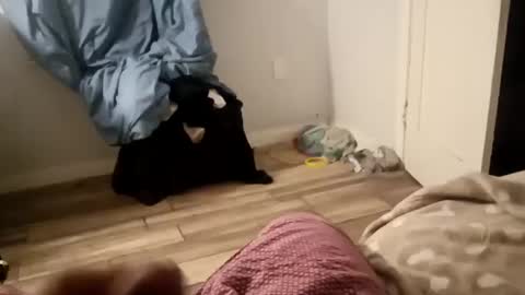 twest84 online show from September 2025 08:46:02 AM