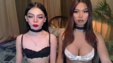 Snapshot of twinktransshanel chatting on October 2025 04:21:02 AM twinktransshanel online show from October 2025 04:21:02 AM