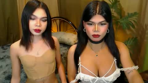 Snapshot of twinktransshanel chatting on October 2025 10:16:01 AM twinktransshanel online show from October 2025 10:16:01 AM