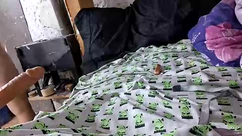 twistedlilpunk online show from December 2025 11:17:02 AM