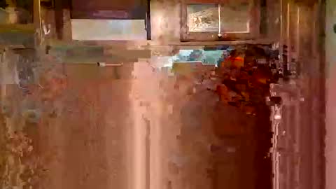 Tintilizing Excitement online show from February 2025 08:50:01 AM