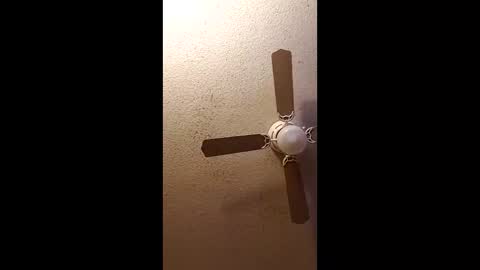 Snapshot of twosometeasesdarksexualkingdom chatting on February 2026 11:32:01 AM twosometeasesdarksexualkingdom online show from February 2026 11:32:01 AM