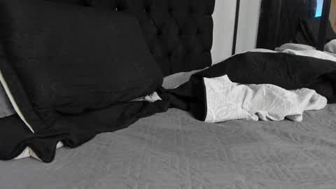 tyler_hank1 online show from March 2026 12:56:02 PM