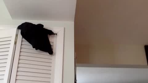 Tyler Durden online show from March 2025 01:38:02 PM