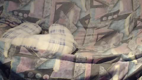 Helena and Tyson online show from February 2025 04:17:02 AM