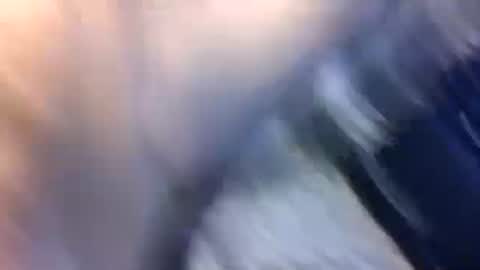 Snapshot of uncut7half237495 chatting on October 2025 03:42:02 AM uncut7half237495 online show from October 2025 03:42:02 AM