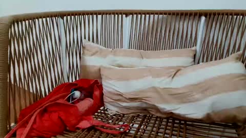 Snapshot of underground33 chatting on January 2025 08:57:02 PM Under  Huge cock with beautiful uncut foreskin online show from January 2025 08:57:02 PM