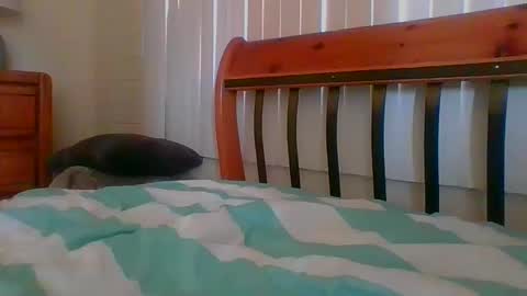 Snapshot of uniqueme22 chatting on January 2025 09:04:02 PM Unique online show from January 2025 09:04:02 PM