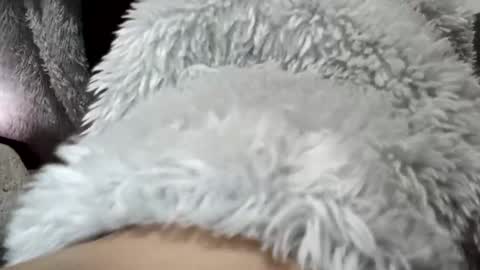 Snapshot of unknoown98 chatting on December 2024 11:12:02 PM unknoown98 online show from December 2024 11:12:02 PM