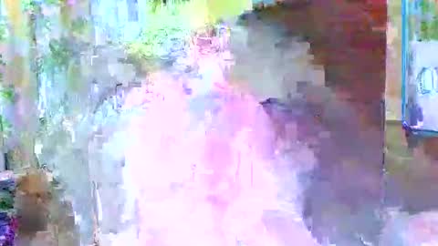 choso online show from May 2026 06:24:02 PM